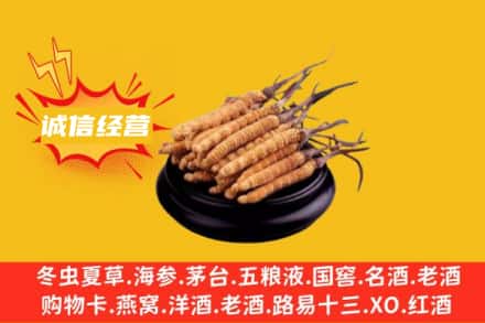 佛山市禅城回收冬虫夏草